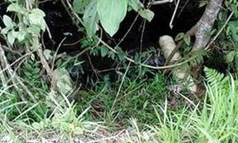 Imagem 7: Uma Fazenda em Parecis-Ro