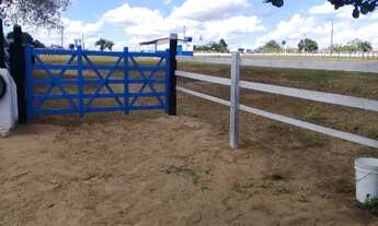 Imagem 2: Belíssimo sítio com casas, curral, tronco, embarcador, baias e piscina