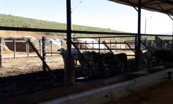 Imagem 4: Uma ótima Fazenda em Caçapava! À 7km da cidade!