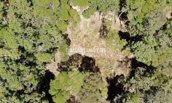 Imagem 2: Amplo Lote de Terreno à Venda no Colinas do Imbiri - Campos do Jordão/SP