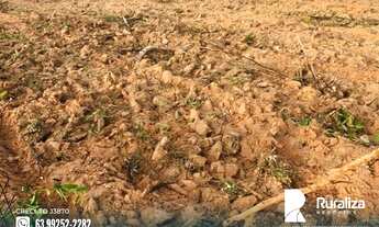 Imagem 5: Fazenda em Lizarda - TO