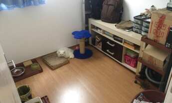 Imagem 3: Apartamento com 2 dormitórios à venda em Vitória