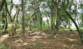 Imagem 3: Chácara à Venda na Represa de Piracaia - Saída Exclusiva para água