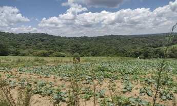 Imagem 6: 32Lote/Terreno para venda tem 600 metros quadrados com 1 quarto em Centro - Cotia - SP