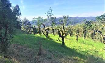 Imagem 4: Terreno em Tamandaré com 86,11m de frente!