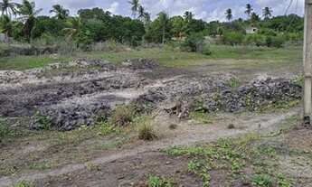 Imagem 13: Excelente Fazenda com 150 hectares na região de São Gonçalo do Amarante