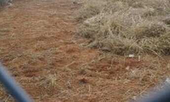 Imagem 3: TERRENO VENDA 600M² PQ. SÃO BENTO SOROCABA SP