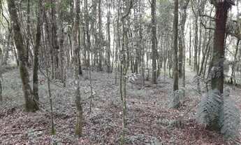 Imagem 3: Excelente Chácara com 4.500 m2 Muricy 290.000.00