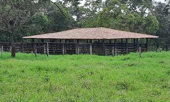 Imagem: Fazendinha 85 Hectares!!!!!Otima Estrutura!!!