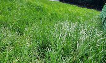 Imagem 2: Terreno alphaville Salvador 2 II