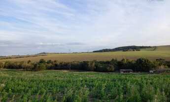 Imagem 5: Chácara de 10.000m² por 330 mil