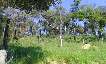 Imagem 5: AREA P/ DESDOBRO 2 ALQUEIRES - Moreiras Mairinque - Com 5 Chácaras de 10.000 m. quadrados