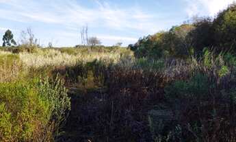Imagem 6: Permuta Terreno Caximba 9.000m² Estrada Delegado Bruno Almeida, asfalto, troca permuta