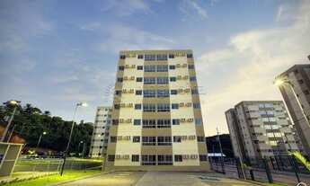 Imagem 4: São Lourenço da Mata - Apartamento - Muribara