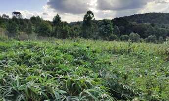 Imagem 5: Terreno para Venda, 54.604,52 m², Rio Negrinho / SC, bairro São Pedro