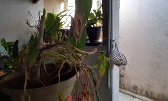 Imagem 3: Excelente Casa 02 dormitórios, no Monsenhor Souza: 148,8 de área edificada!! R$ 240.000!!