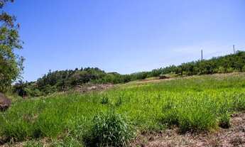 Imagem 2: Sítio à venda, 57000 m² por R$ 1.300.000 - Morungaba - Morungaba/SP