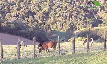 Imagem 6: Sítio à venda, com nascente e lago 70000 m² por R$ 990.000 - Botujuru - Mogi das Cruzes/SP