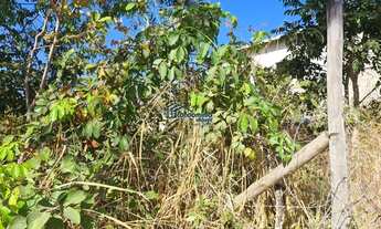 Imagem 3: Venda Commercial / Land Lot Lagoa Santa MG