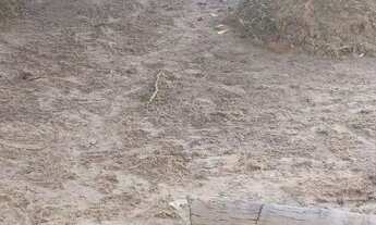 Imagem 2: Alugo casa em algodoal