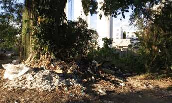 Imagem 3: Buffelli imóveis: vende-se um terreno em Santa Cruz