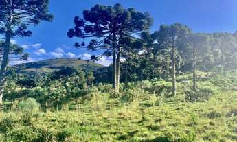 Imagem 7: Chácara em Urubici com parcelamento direto