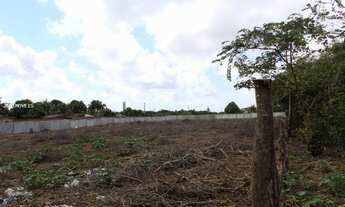 Imagem 13: Terreno para Venda em São Gonçalo do Amarante, Jardins