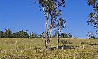 Imagem 3: Área à venda, 125000 m² por R$ 43.750.000,00 - Jardim São Francisco - Louveira/SP