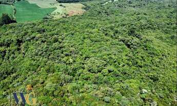 Imagem 3: Terreno para Venda em Campo Largo, Colônia Balbino Cunha