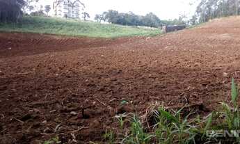 Imagem 5: GRAMADO - Terreno Padrão - CARAZAL