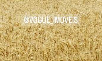 Imagem 3: Lote/Terreno para venda possui 233500000 metros quadrados em Holambra II - Paranapanema