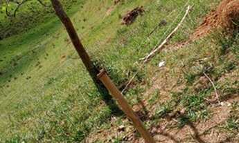 Imagem 7: Vendo lotes em Igaratá