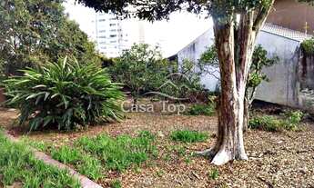 Imagem 3: Terreno à venda Órfãs