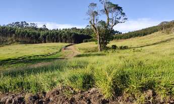 Imagem 7: Vendo meu lote em Nazaré Paulista