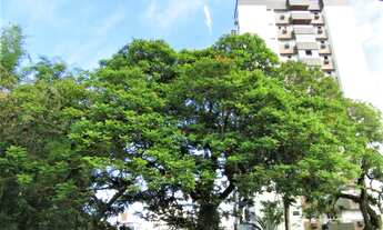 Imagem 2: Apartamento 110m², 3 dormitórios, suíte, 3 vagas, Trindade - Florianópolis - SC