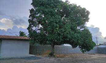 Imagem 7: Chácara Chácara com venda por R$125.000