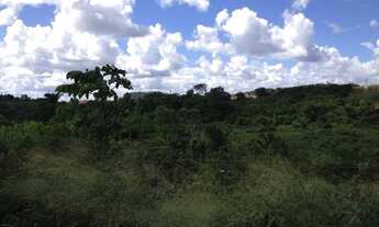 Imagem 7: TERRENO RURAL em CANDEIAS - BA, NOVA BRASÍLIA