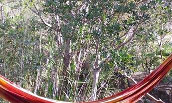 Imagem: Lindo Sítio com passagem de água e duas