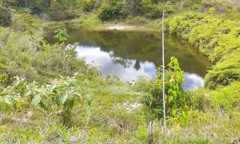 Imagem: Fazenda na Bahia Cacau, Nascentes - Jaguaquara