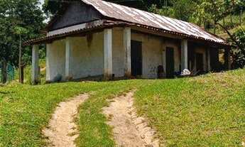 Imagem 6: Fazenda na Bahia: Cacau, Nascentes - Jaguaquara