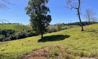 Imagem 2: Fazenda à venda, 677Ha (140Alq) R$ 15.400.000 - Aparecida do Rio Negro/TO