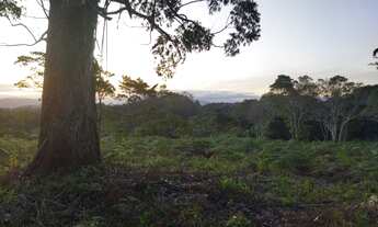 Imagem 7: Propriedade exclusiva em Santa Teresa