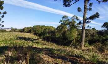 Imagem: Permuta Terreno Caximba 9.000m² Estrada