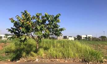 Imagem 3: Excelente lote residencial para Venda em Adamantina