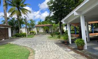 Imagem 3: LINDO SÍTIO NA SERRARIA COM 28.000 m2