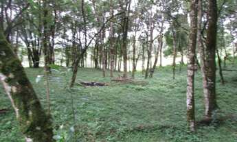 Imagem 5: Terreno para Venda em Colombo, Das Graças, 1 banheiro