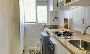 Imagem 7: Itajaí - Apartamento Padrão - Vila Operária