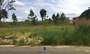 Imagem 2: TERRENO VENDA 335M² JARDIM NOVO HORIZONTE