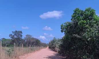 Imagem 2: Lote/Terreno para venda possui 100000 metros quadrados em Centro - Jequitibá - MG