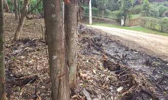 Imagem: Terreno semi plano em Teresópolis Granja